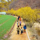 화전3리 마을회관 이미지