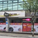 흑돼지수 이미지