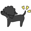 크레이티브펫