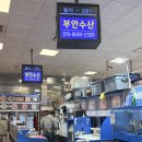 부안회집 | 노량진횟집 부안수산 솔직 담백한 방문 후기