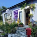 나포리 다방 이미지