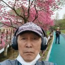 소소한 미국이야기 ㅡ9월에 기대 이미지