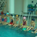 고창군 청소년수련관 실내수영장 이미지