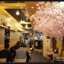 천회초밥 이미지