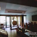 브라운스프링(Brown Spring) 이미지