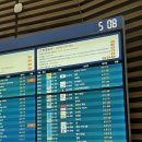 갈지6-29 농로 | 홍콩여행 대한항공 탑승후기 스타의거리부터 템플스트리트야시장 까지 ㅣ 홍콩마카오여행 1일차