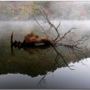 강나루 긴 언덕 이미지