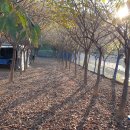 여주-0092 이미지