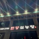 [방배] 방배역 맛집 한양 설렁탕에서 설농탕 찐 맛도리 먹고 온 솔직 후기(맛집 인정!)