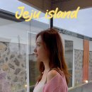 용수차경 돌품 이미지