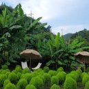 멍빌리지펜션 이미지