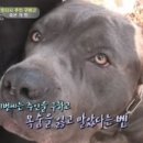 디바농장 이미지