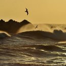 하프타임희망 이미지