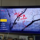 김문옥감독의 영화 ‘만춘’ IP-TV(KT,SK) 8월29일, LG 9월12알 개봉 이미지