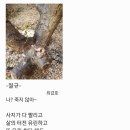 절규 이미지