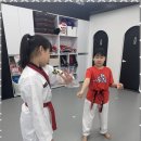 대한미르태권도장 이미지