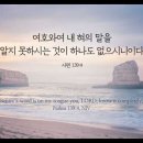 오늘의 '영어성경 사진'(880강) “나를 완전히 아시는 하나님”(시편 139편 4절) 이미지
