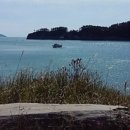 삼성호 민박 이미지