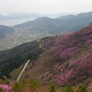 진달래약국 Daum카페