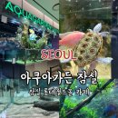 거북이가든 | [잠실 롯데월드몰 카페] 아쿠아가든 카페 물고기 거북이가 가득한 이색카페