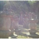 월성 농장 이미지