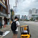 [부산 시민공원 스페셜라이더]시민공원 아기 전동차 대여 전동바이크 대여 가격 및 정보