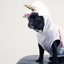 개편한세상 이미지