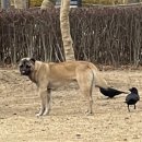 시민공원 남문 인근-1 이미지