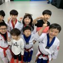 고려대 김세원 태권도 이미지