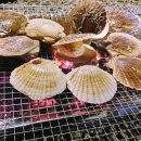 미스짱 건어물 수산물 이미지