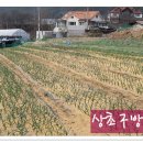 사월농장 이미지