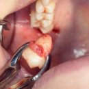 365이강치과의원 이미지