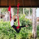 카디오메드 이미지