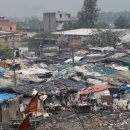 청원스크랩 이미지