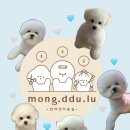 몽뚜루 네이버블로그