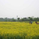 서운체육공원 이미지