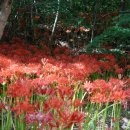 일오농장 이미지