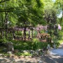 삼풍농장 이미지