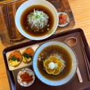 제주시 공영버스 정비소 | 제주공항 근처 점심 추천 청귤 소바 맛집 내돈내산 후기 [도토리키친]