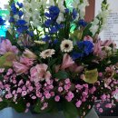 사상구청 이미지