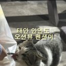 밧개오션 이미지