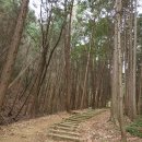 남파랑길 19코스 이미지