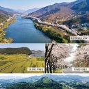 꽃내음가득 이미지