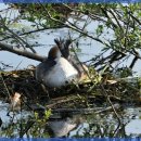 오체스킨케어 | 노화 피부관리, 피부 건강 유지법과 추천 센터