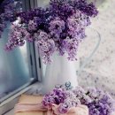 주식회사 고담 이미지