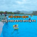 GS25 본산공단점 | 가평당일치기 물놀이 가평자라섬 수영장 운영 입장료 평상 편의점 주차