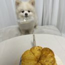 콩지네 부엌 이미지