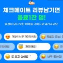 체크메이트 보드게임 이미지