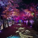 고척교 하부 - 2141 | 고척교 하부