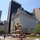 신호프라자 이미지